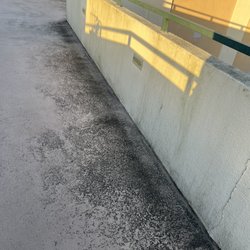 Cliff Warren Investments - Black Mold