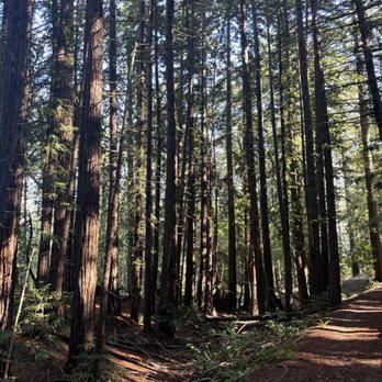 Wunderlich Park - Parks Near Me - Woodside, California