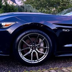 Alliance Automobile Glass - Treated my muscle car with utmost respect!
