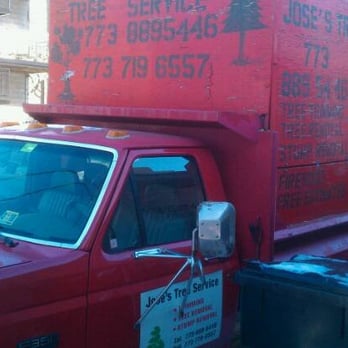 Jose's Tree Service - Tree Services Near Me Jose's Tree Service - Tree Services Near Me