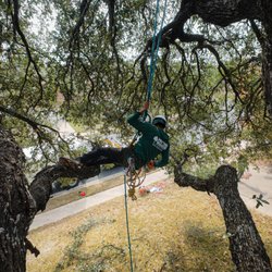 PRV Tree Service