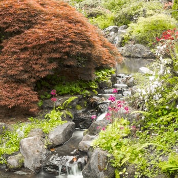 Kubota Garden - water trickle - Botanical Gardens Near Me - Seattle, Washington Kubota Garden - water trickle - Botanical Gardens Near Me - Seattle, Washington