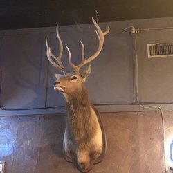 Rusty Spur Saloon - Elk with the cigarette hanging out of his mouth LOL
