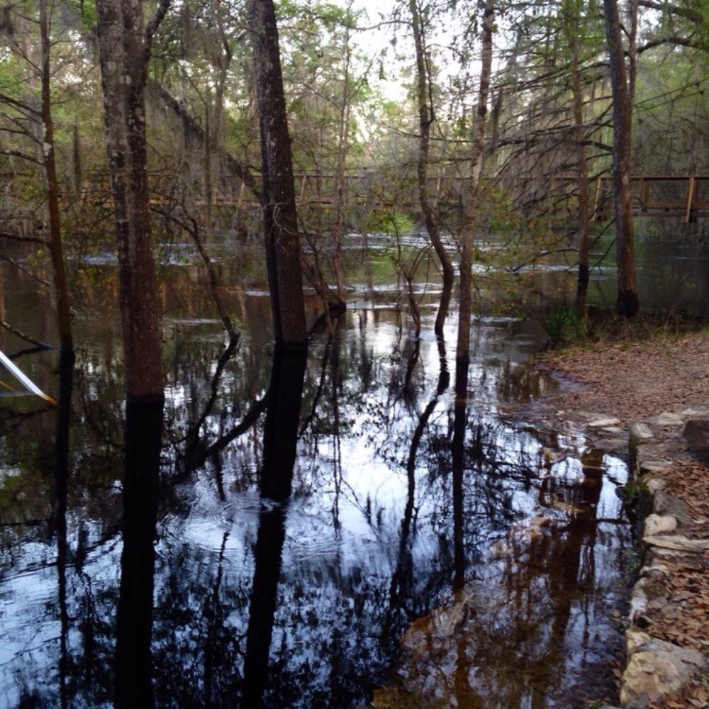 O'leno parks Santa Fe river overflowing, still beautiful!! O'leno parks Santa Fe river overflowing, still beautiful!!