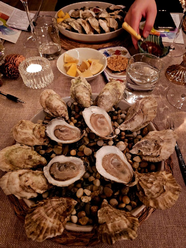Lady Oyster Logo