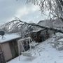 Photo of Los Primos Tree Service And Landscaping