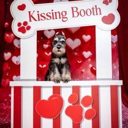 Pixie Vision Photography - Kissing Booth
