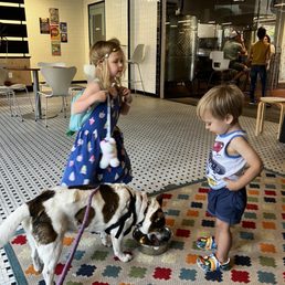 Kid friendly, dog friendly Kid friendly, dog friendly