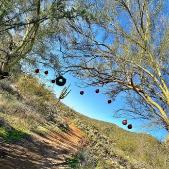 Sonoran Preserve - Hiking Near Me - Phoenix, Arizona