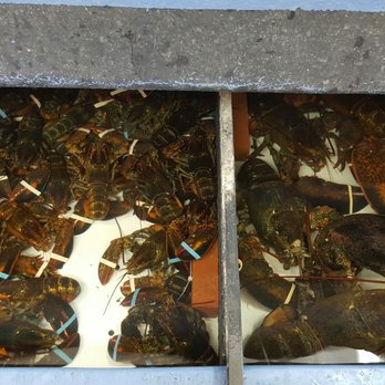 James Hook & Co - Lobsters. One on the Right is huge! - Seafood Near Me - Boston, Massachusetts James Hook & Co - Lobsters. One on the Right is huge! - Seafood Near Me - Boston, Massachusetts