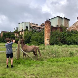 Kauai Photography Tours with Damon Moss