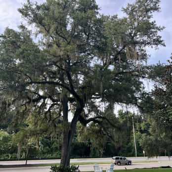 Tallahassee RV Park - RV Parks Near Me - Tallahassee, Florida Tallahassee RV Park - RV Parks Near Me - Tallahassee, Florida