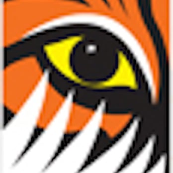 Xeroscapes - Xeroscapes uses Tiger Turf products - Landscaping Near Me