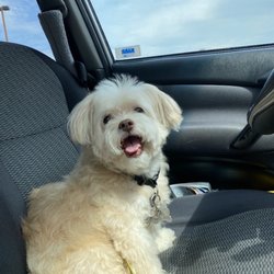 Value Vet Animal Clinic