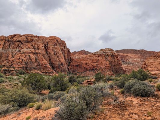 Snow Canyon State Park by null