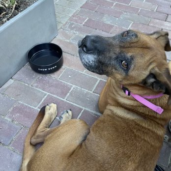 Eat Real Cafe - Dog friendly - Cafes Near Me - Newhall, California