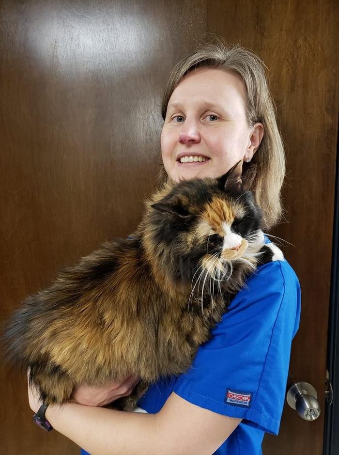 VILONIA ANIMAL CLINIC Updated September 2024 159 Photos 785 US 64 E Business, Conway