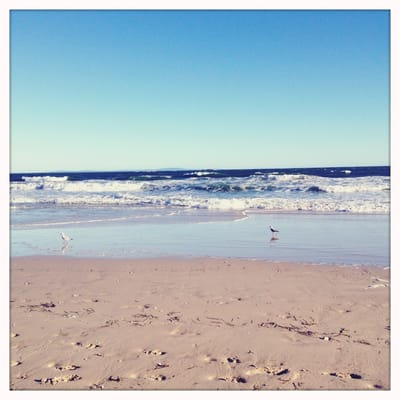Cylinder Beach by null