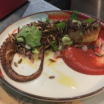 The Barbary - Octopus - Middle Eastern Near Me - London, XGL The Barbary - Octopus - Middle Eastern Near Me - London, XGL