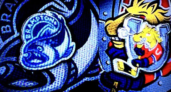 CAA Centre - Sports and Entertainment Complex by null