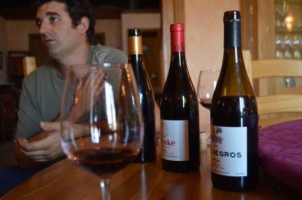 Rioja Wine Tours by null