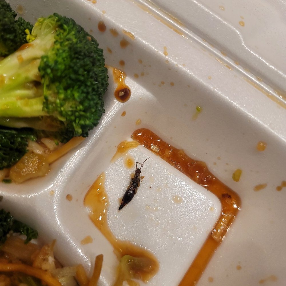 Panda Express - BUG in food - Chinese Near Me - Perris, California Panda Express - BUG in food - Chinese Near Me - Perris, California