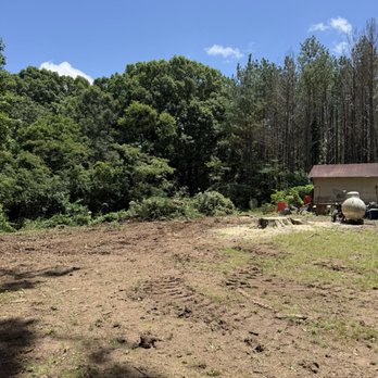 Tree Commander - Tree Services Near Me