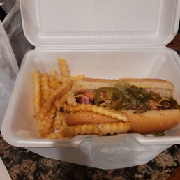 Turkey polish chicago style with fries Turkey polish chicago style with fries