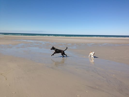 Chapin Memorial Beach by null
