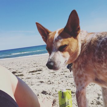 Rexhame Beach - Beaches Near Me - Marshfield, Massachusetts