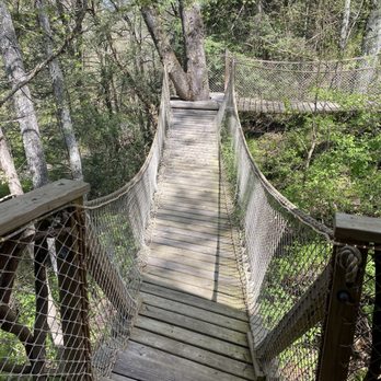 Asheville Glamping - Suspension bridge. - Campgrounds Near Me Asheville Glamping - Suspension bridge. - Campgrounds Near Me