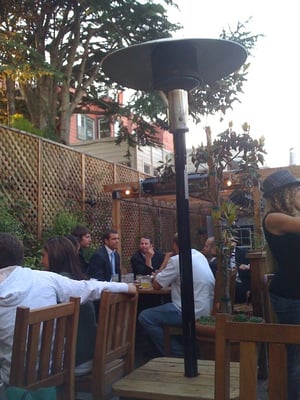 The Tipsy Pig by null