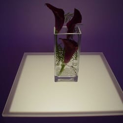 Blumen Heller