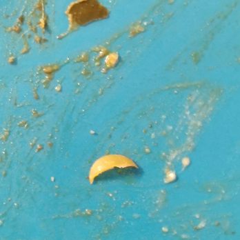 Sankranti - Nail found in biryani - Indian Near Me - Sunnyvale, California