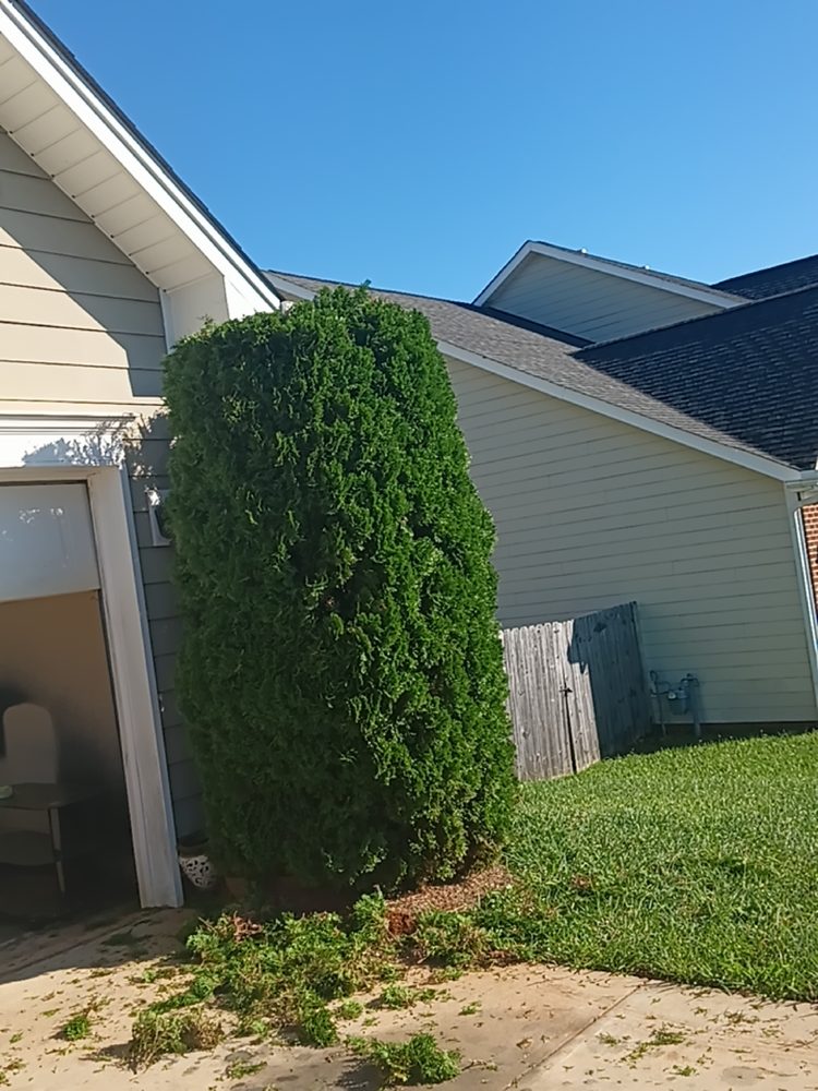 J&b Landscaping - tree service in Greensboro, NC