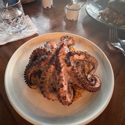 Agua Salá - Pulpo- octopus