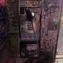 Photo of Locust Tap