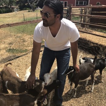Stepladder Ranch & Creamery - Meeting the baby goats 7/2018 - Ranches Near Me - Cambria, California Stepladder Ranch & Creamery - Meeting the baby goats 7/2018 - Ranches Near Me - Cambria, California
