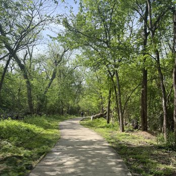 The Trail at the Woods - Very clean but sad a lot of broken trees - Parks Near Me The Trail at the Woods - Very clean but sad a lot of broken trees - Parks Near Me