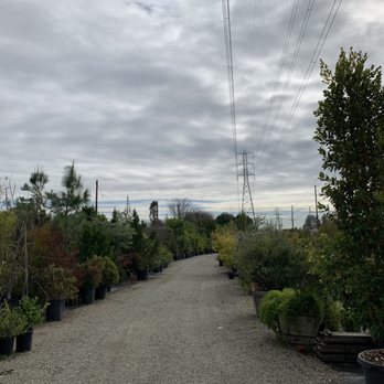 Present Perfect - Nurseries & Gardening Near Me - Pasadena, California