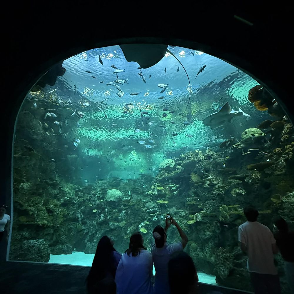 Seattle Aquarium - Aquariums Near Me - Seattle, Washington Seattle Aquarium - Aquariums Near Me - Seattle, Washington