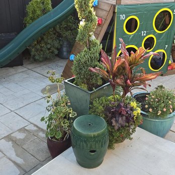 Silva Home Solutions - cleaned around all the pots - Gutter Services Near Me