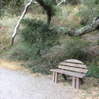 Sycamore Crest Trail - Take a rest! - Hiking Near Me Sycamore Crest Trail - Take a rest! - Hiking Near Me