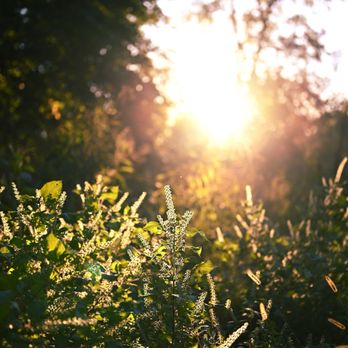 Lost Hill Park - Parks Near Me - Springfield, Missouri