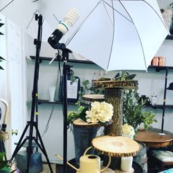 The Shop