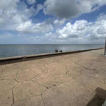 Lakeshore Drive - Lakes Near Me - New Orleans, Louisiana Lakeshore Drive - Lakes Near Me - New Orleans, Louisiana