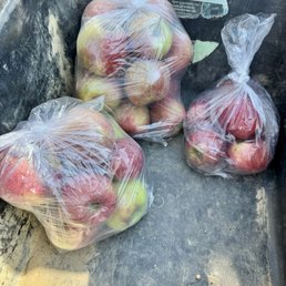 Apples, we picked for my mom, a friend, and for us! Apples, we picked for my mom, a friend, and for us!