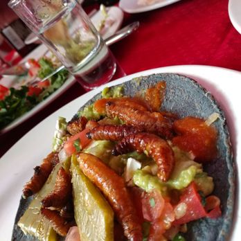 Hostería de Santo Domingo - Tacos de gusanos de maguey - Mexican Near Me - México, D.F., DIF Hostería de Santo Domingo - Tacos de gusanos de maguey - Mexican Near Me - México, D.F., DIF