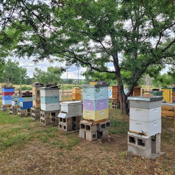 Hudson Gardens - 07.16.22 - Venues & Event Spaces Near Me - Littleton, Colorado