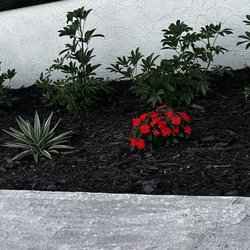 707 Nursery - Flowers and aribicolas